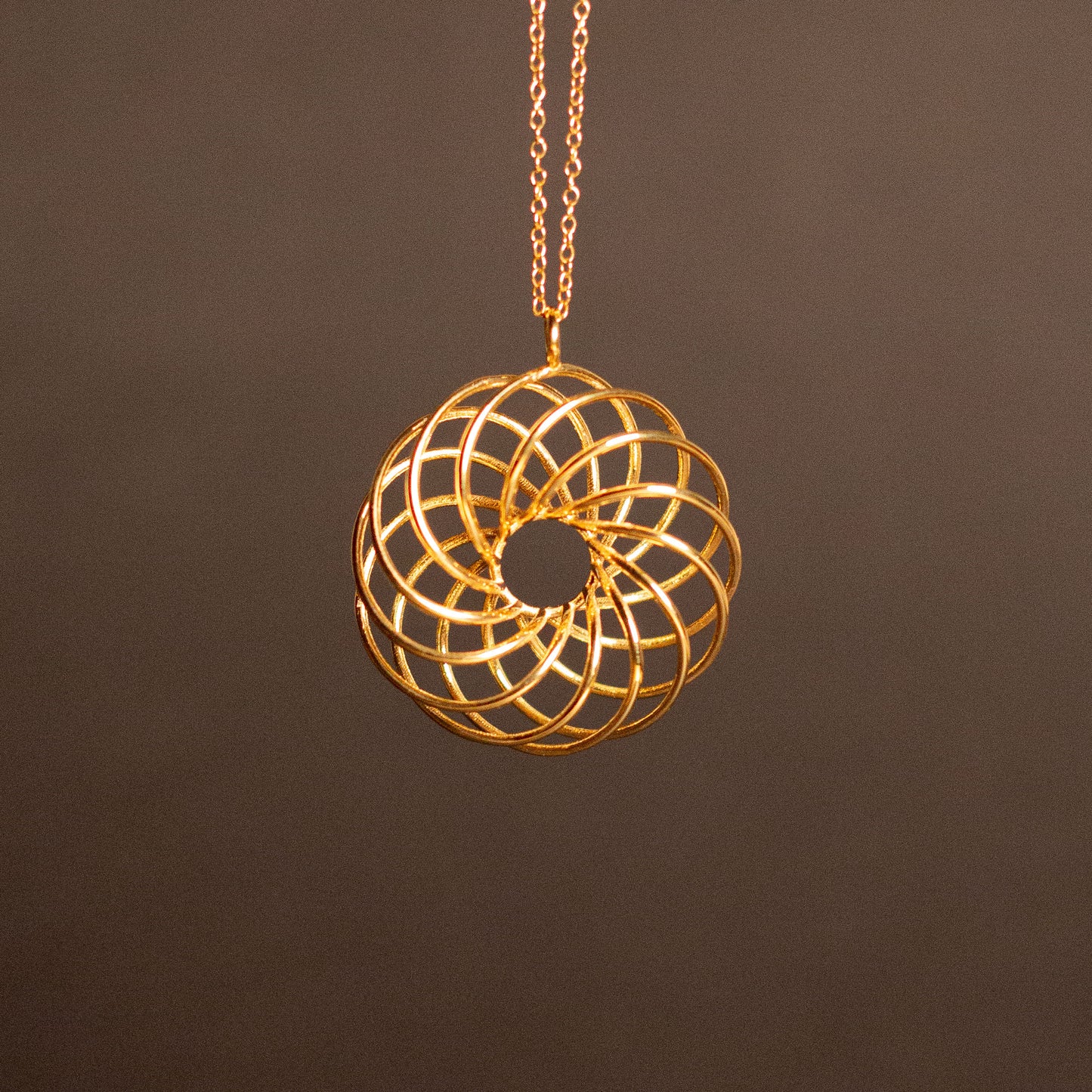 Torus Field Necklace